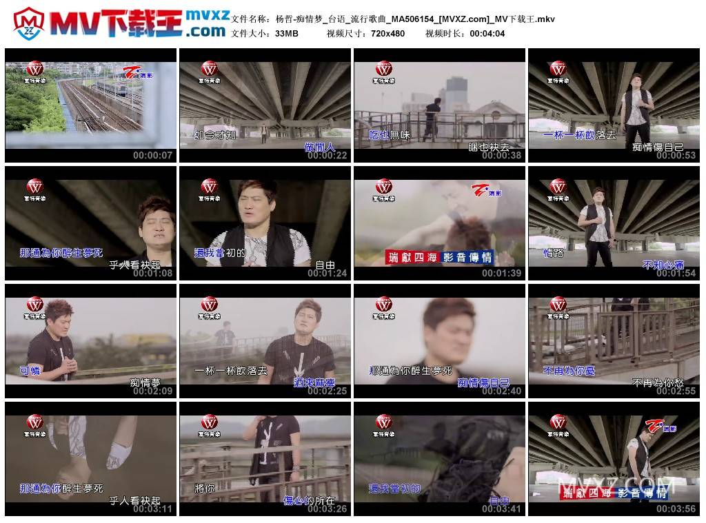 杨哲-痴情梦_台语_流行歌曲_MA506154